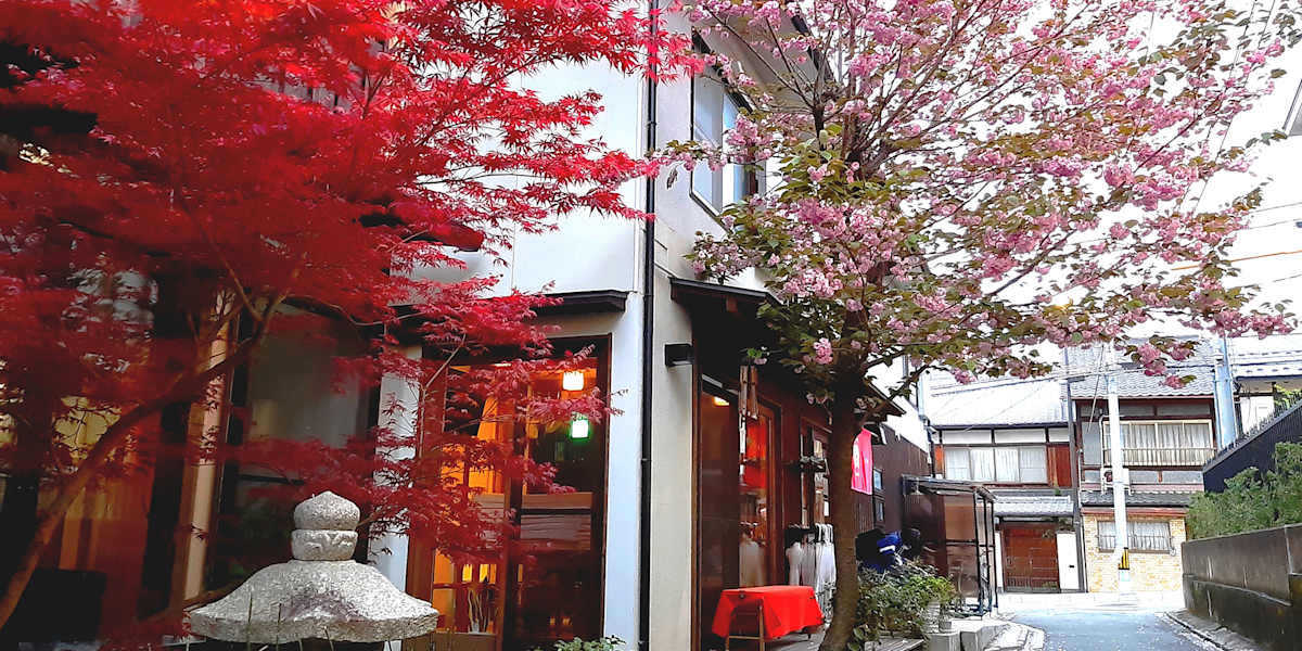Guesthouse Soi