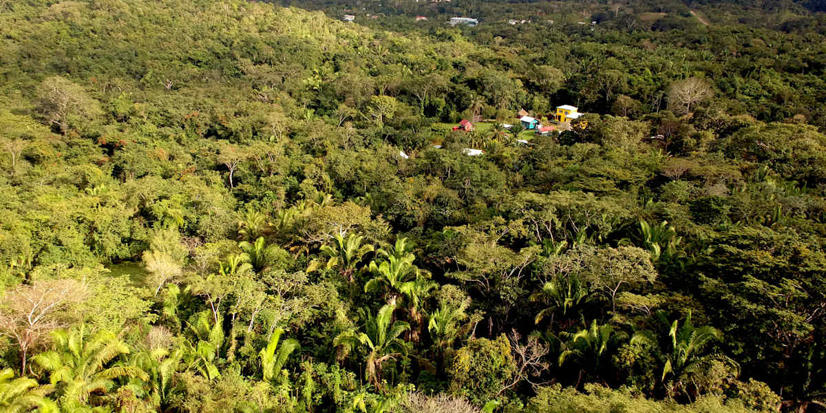 Lower Dover Jungle Lodge & Maya Ruins