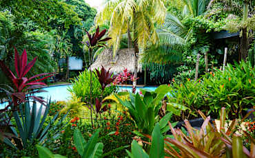 Bonga House hostel