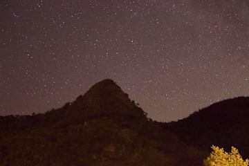 Photos of Piha Beachstay