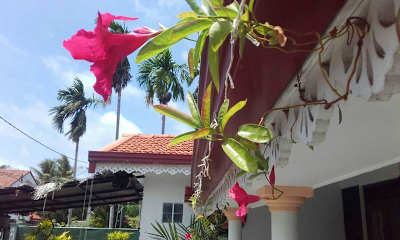 Foto di