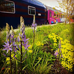 Photos of Train Lodge Amsterdam