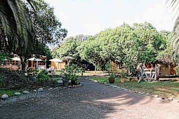 Fotos von