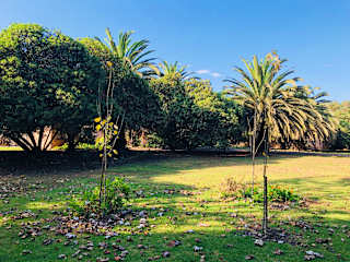 Fotos von