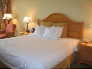 Photos of Monumental Hotel Orlando