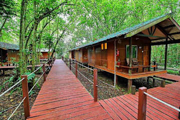 Photos of Nature Lodge Kinabatangan