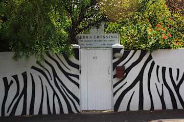 Photos of Zebra Crossing