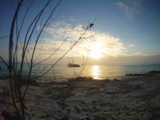 Photos of Surfer's Haven Guesthouse