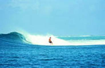 Photos of Surfer's Haven Guesthouse