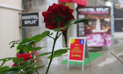 Photos of Hostel Split