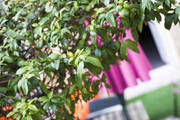 Photos of Hostel Pastoral