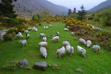Photos of Glenmalure Hostel (Hostelling International)