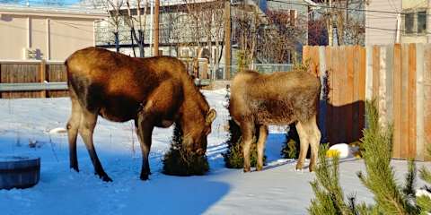 Photos of Arctic Adventure Hostel