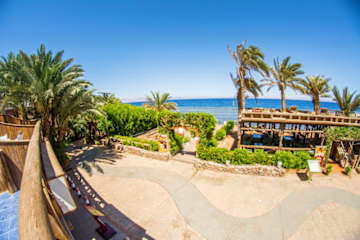 Photos of Penguin Village Dahab