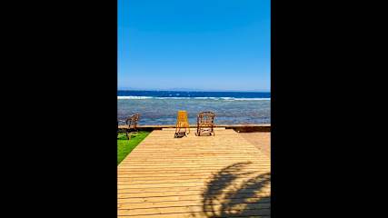 Photos of Penguin Village Dahab