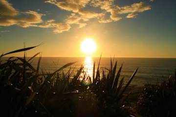 Photos of Te Nikau Retreat