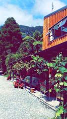 Photos of Te Nikau Retreat