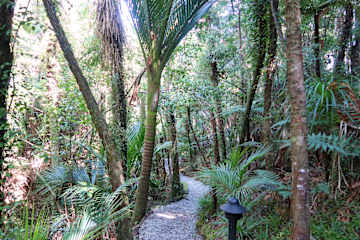 Photos of Te Nikau Retreat