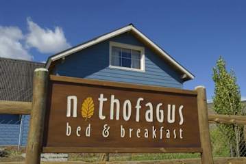 Fotos de Nothofagus B&B