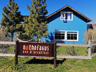 Fotos de Nothofagus B&B