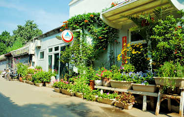 Fotos de Peking International Youth Hostel