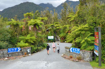Photos of Rainforest Retreat Backpackers