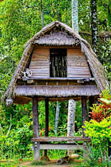 Photos of Nandini Jungle Resort & Spa Bali