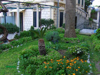 Photos of Room Gradac