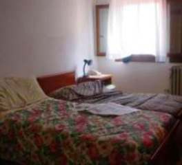 Photos of Backpackers hostel Venice