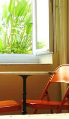 Photos of Hotel Le Lido