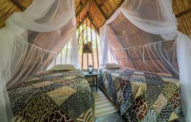 Victoria Falls Backpackersの写真