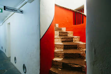 Bilder av