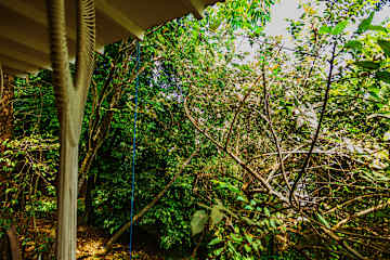Hostel Manuel Antonioの写真