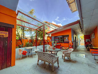 Photos of Surfari Bocas