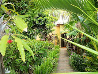 Photos of Tunco Lodge