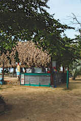 Photos of Isla Luna Baru