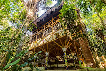 Fotos de Universo Pol Bamboo Hostel