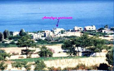 Photos of Astrofegia Apartments