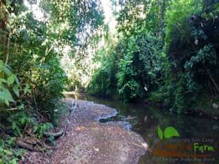 Photos of Rio Agujitas Eco Lodge Farm and Tours