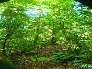 Photos of Rio Agujitas Eco Lodge Farm and Tours