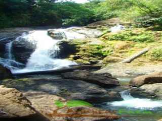 Photos of Rio Agujitas Eco Lodge Farm and Tours