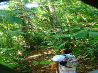 Photos of Rio Agujitas Eco Lodge Farm and Tours