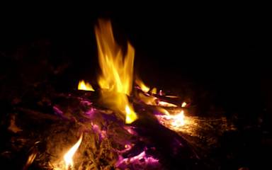 Photos of Archery-Asia Camping & Nipa Huts Moalboal