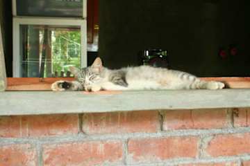 Family hostel La Penitaの写真
