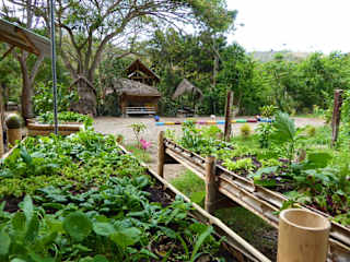 Fotos de