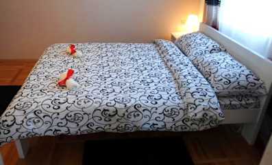 Photos of Hostel Infinity