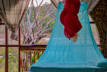 Photos of Hostal El Lobo