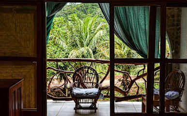 Photos of Hostal El Lobo