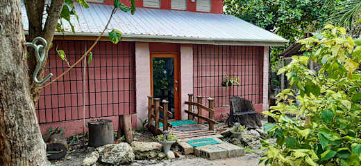 Foto di