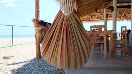 Photos of The Barrel Hostel